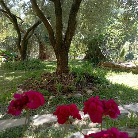 Villa Relax Skála Kallirákhis 外观 照片