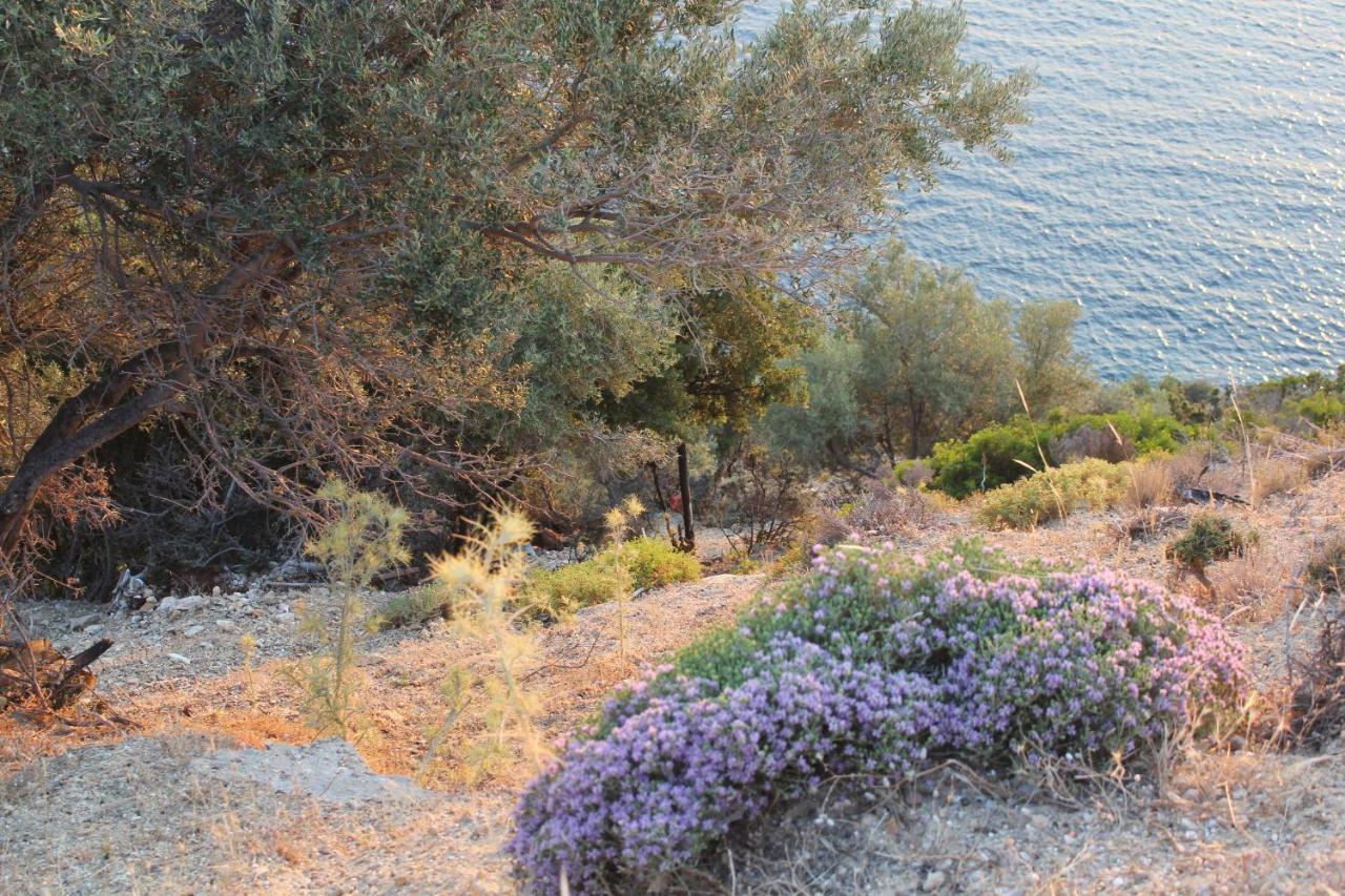 Villa Relax Skála Kallirákhis 外观 照片